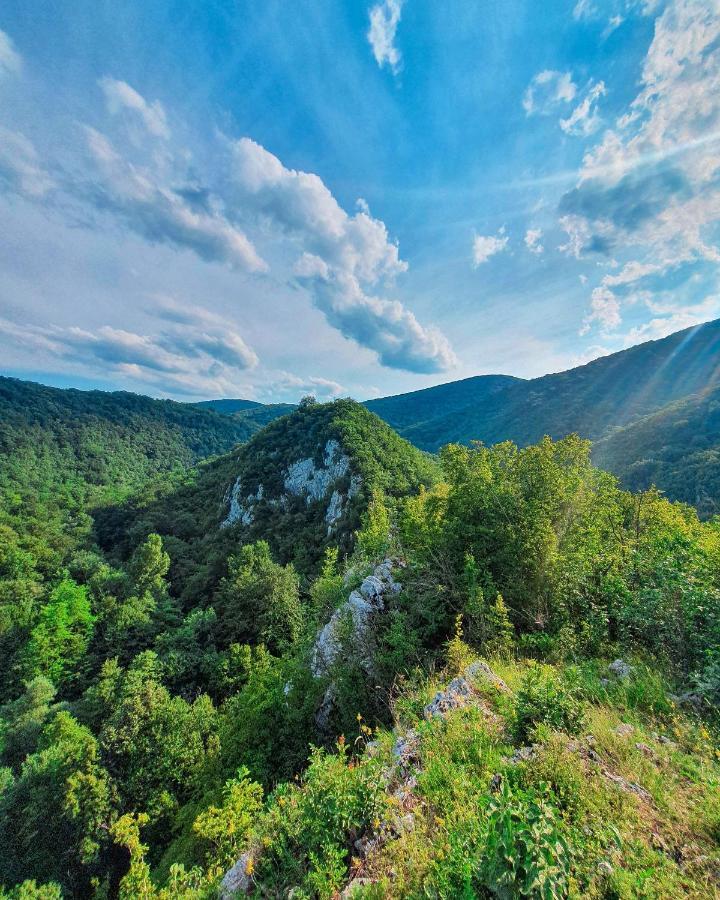 Restoran Sa Prenocistem Gornjak Krepoljin Екстер'єр фото