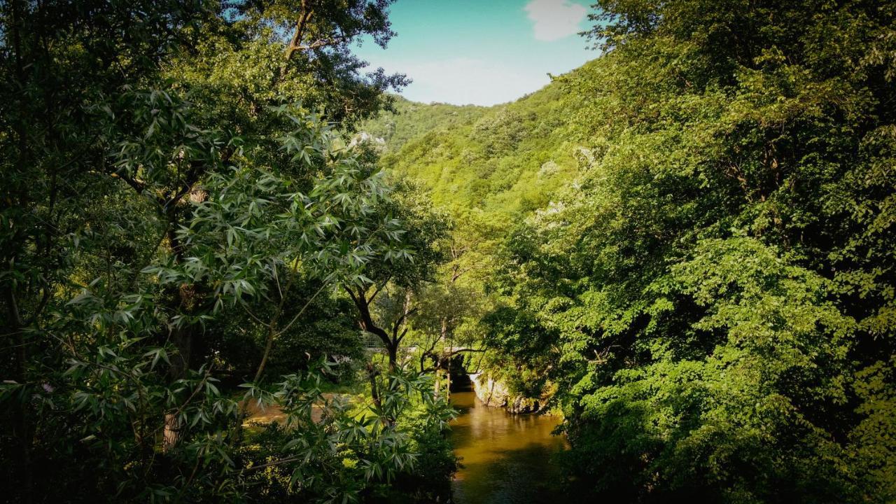 Restoran Sa Prenocistem Gornjak Krepoljin Екстер'єр фото